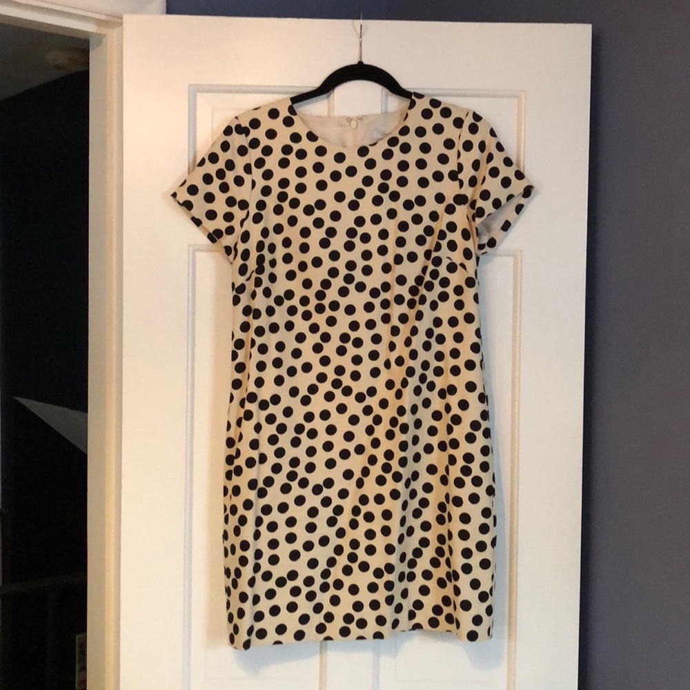 JCrew Polka Dot Mini Dress